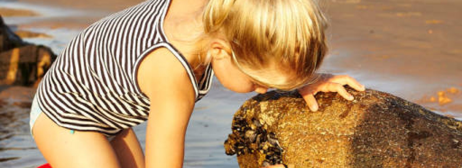 PECHE EN BORD DE MER - SUR LES ROCHERS