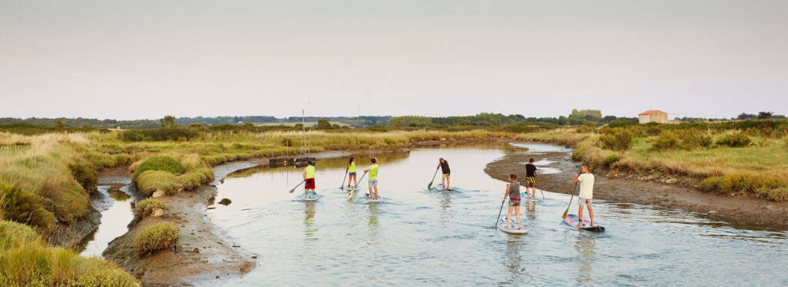 STAND-UP PADDLE - OCTOPUS