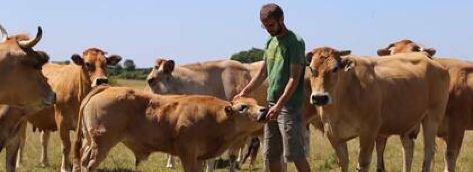 La Ferme des Vertes Prairies