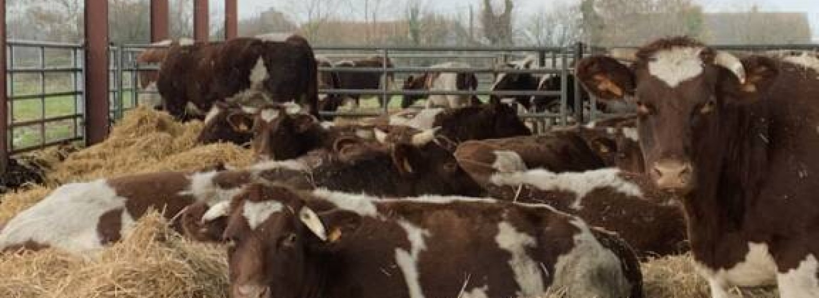 Ferme des Landieres