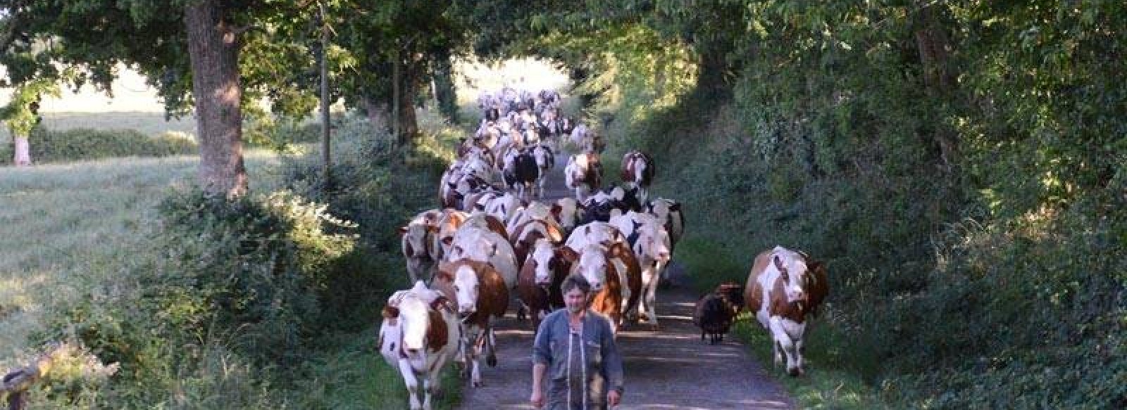 PHILIPPE BOULLAIS - EARL LA FERME DE LA FOUARDIERE