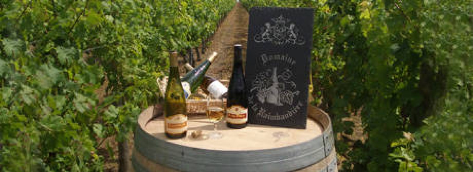 DOMAINE DE LA RAIMBAUDIERE