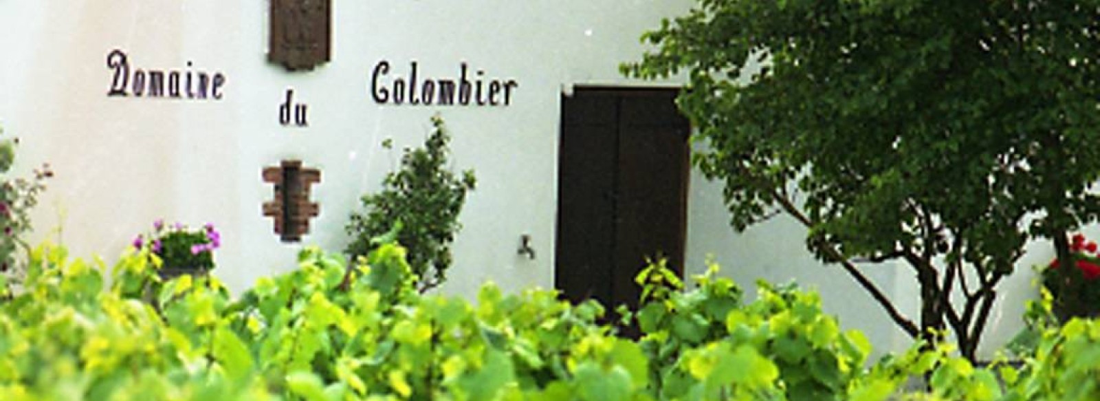 DOMAINE DU COLOMBIER