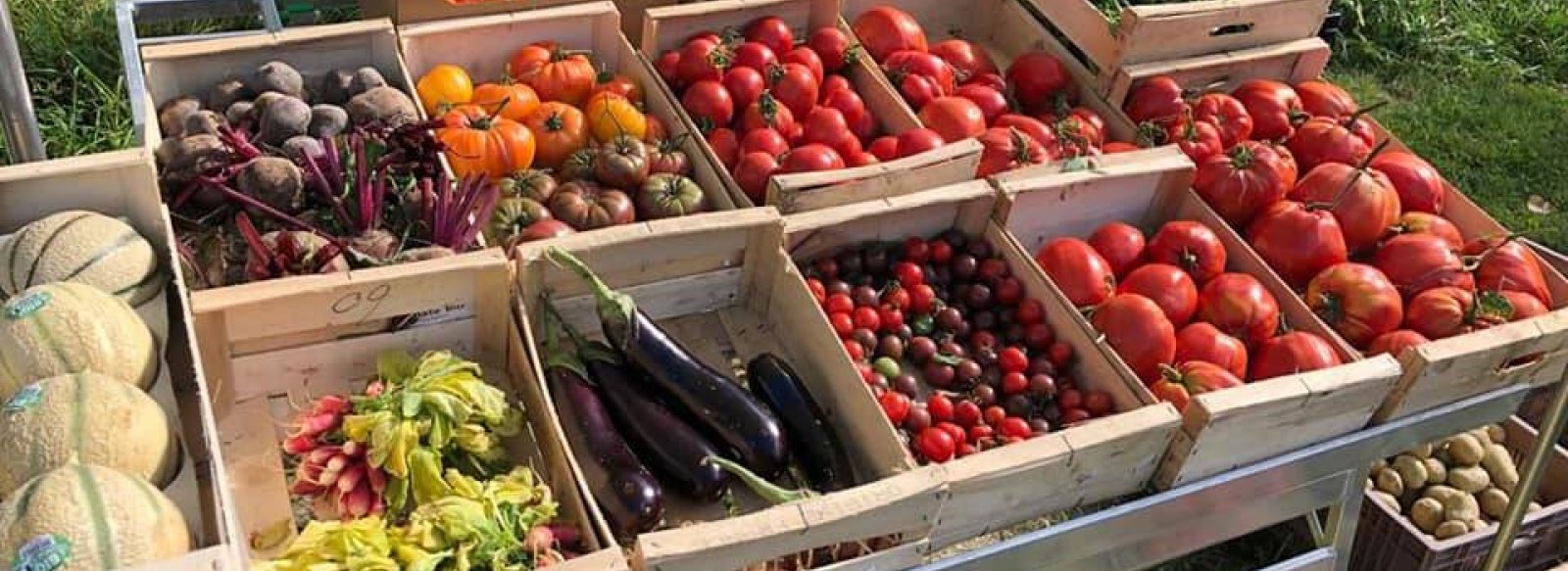 FERME DE LA CLAIE, MARAICHAGE, VENTE DIRECTE ET CUEILLETTE