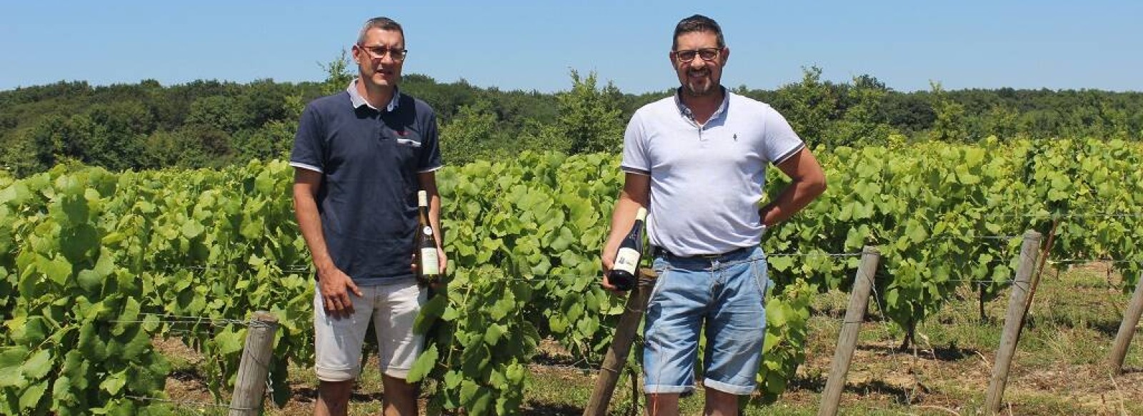 VIGNOBLE VINCENT ET DAMIEN PAPIN