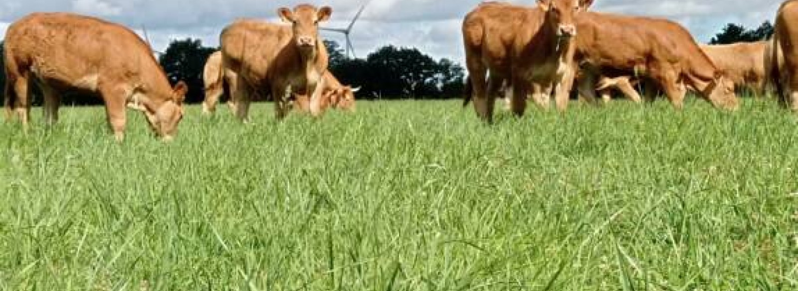 LA FERME BEOTOP