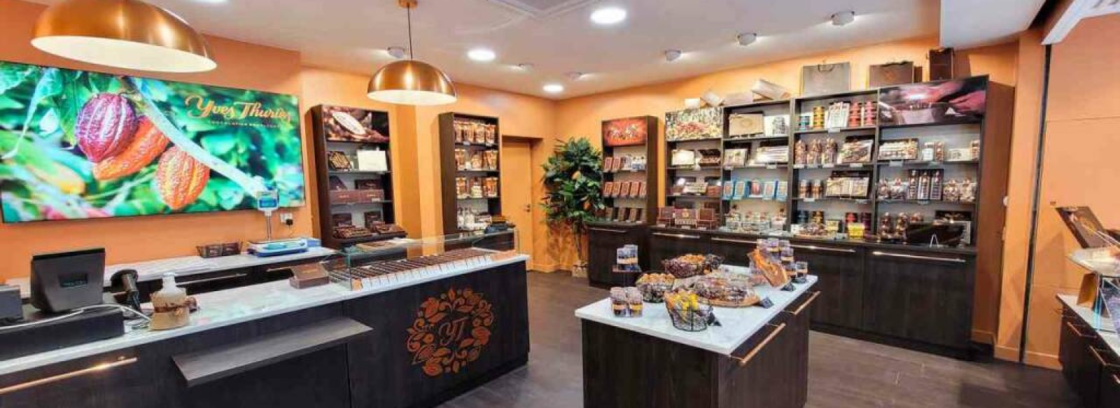 Yves Thuries Chocolatier recoltant