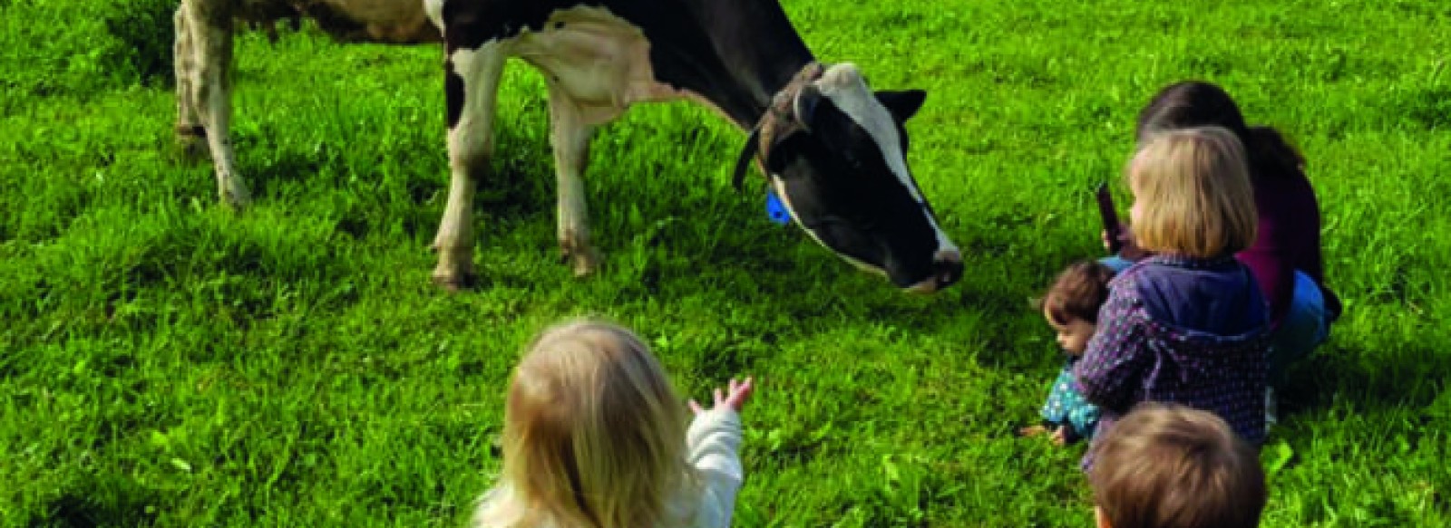 Visite de la ferme - Saveurs d'Octobre