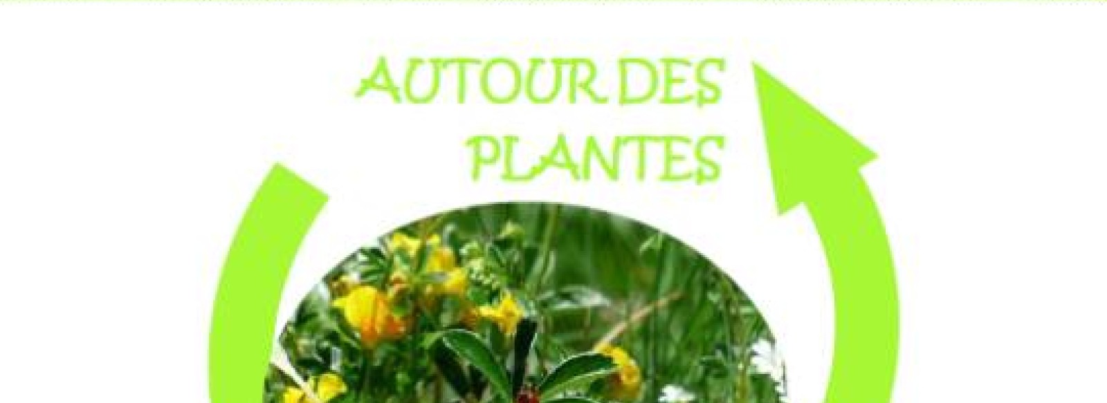 Rendez-vous autour des plantes