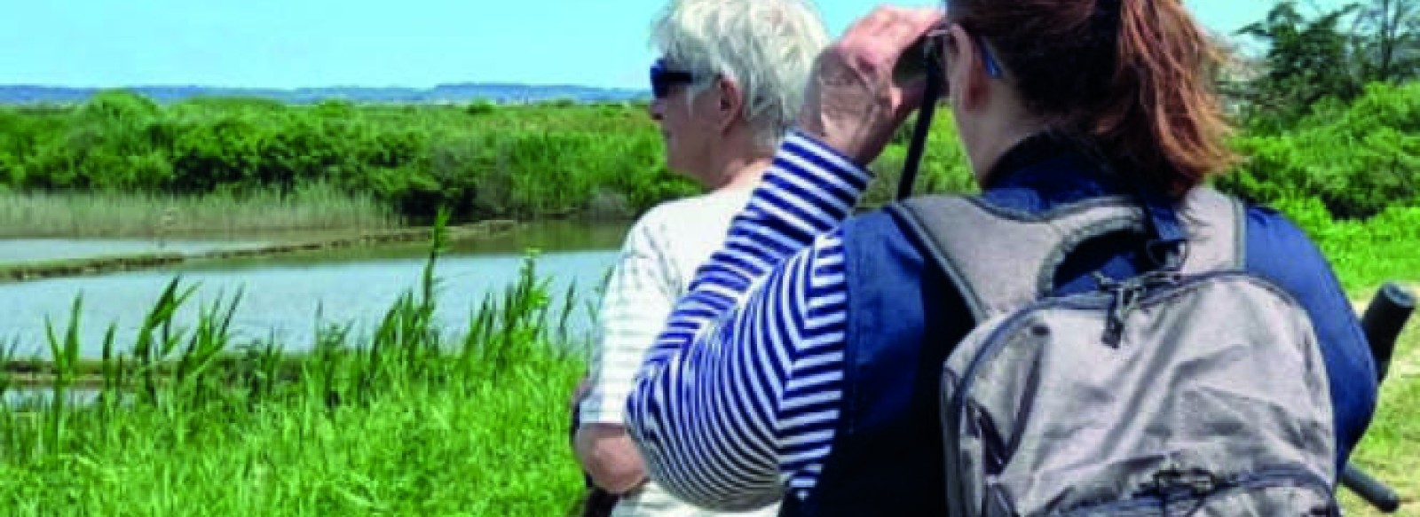 Balade Nature "Faune et Flore des marais salants" - Saveurs d'Octobre