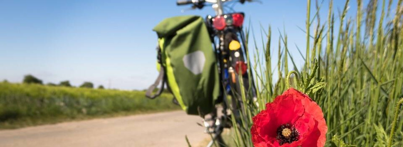 Balades decouvertes du territoire a velo