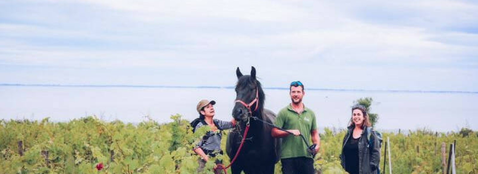 Randonnee sur le sentier des douaniers avec anes et chevaux