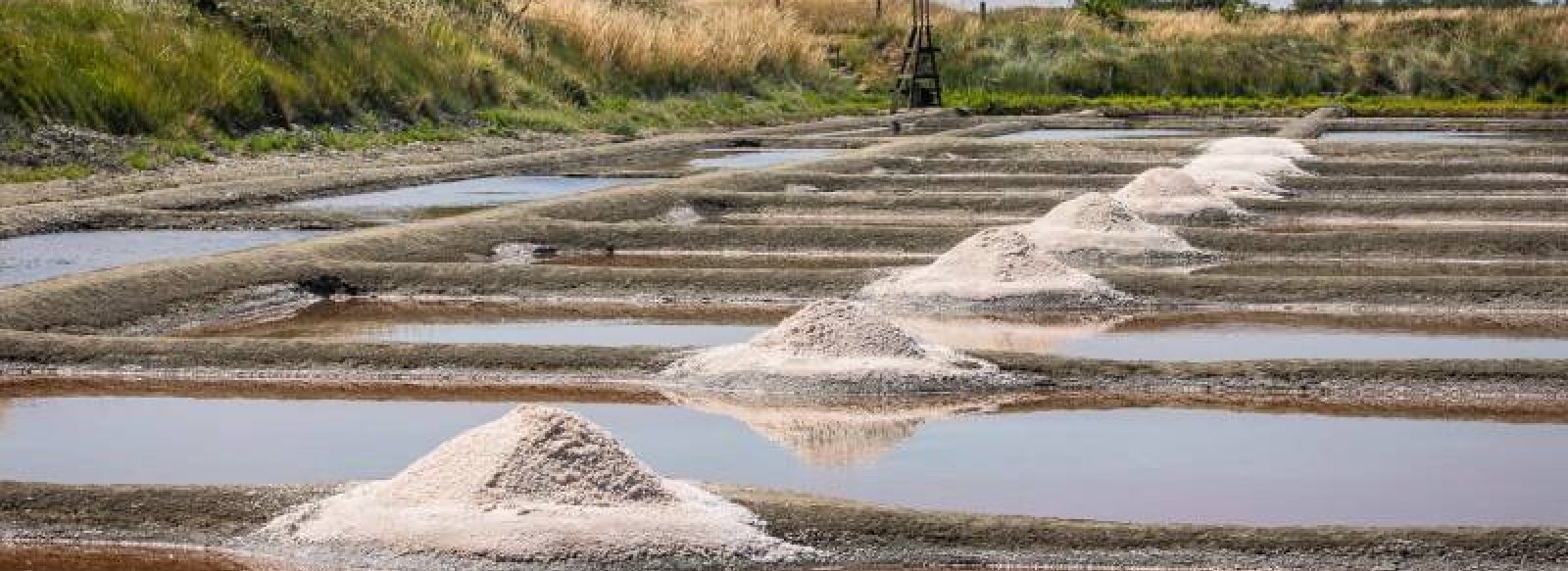 Visite du marais salant