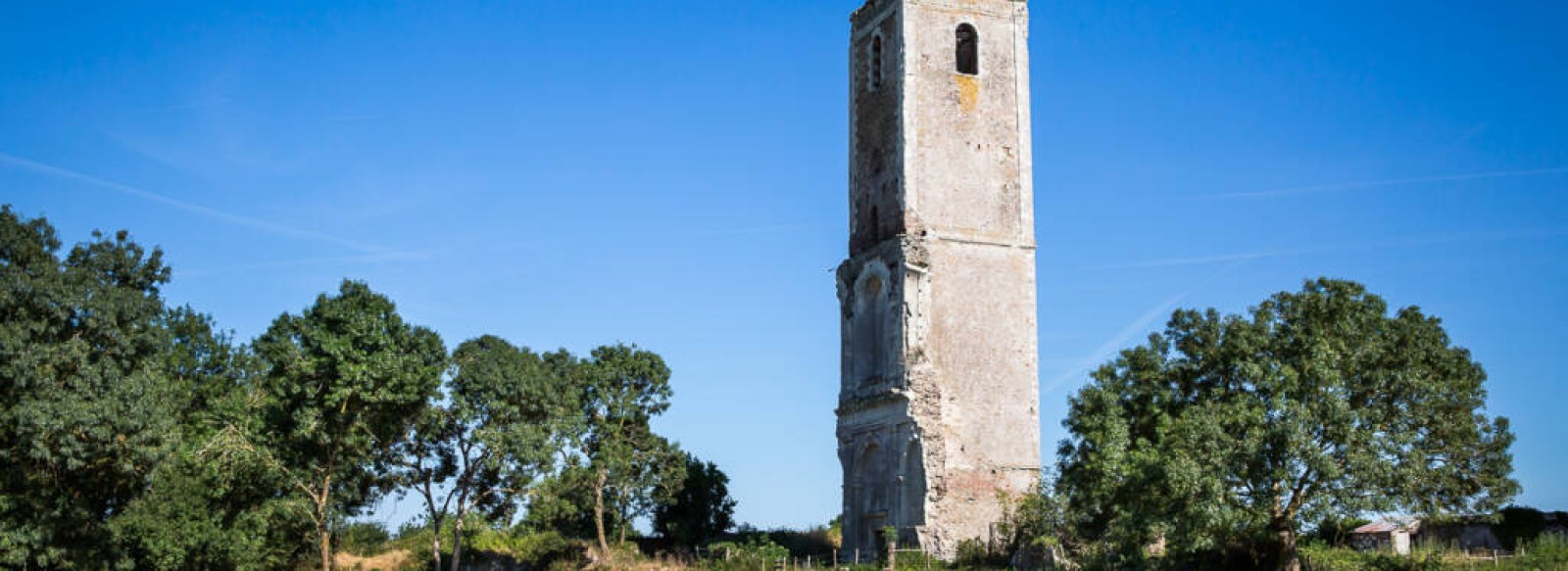 Visite commentee du site de l'Abbaye de Buzay