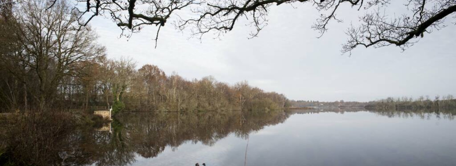 SORTIE NATURE A L'ETANG DE CLEGREUC