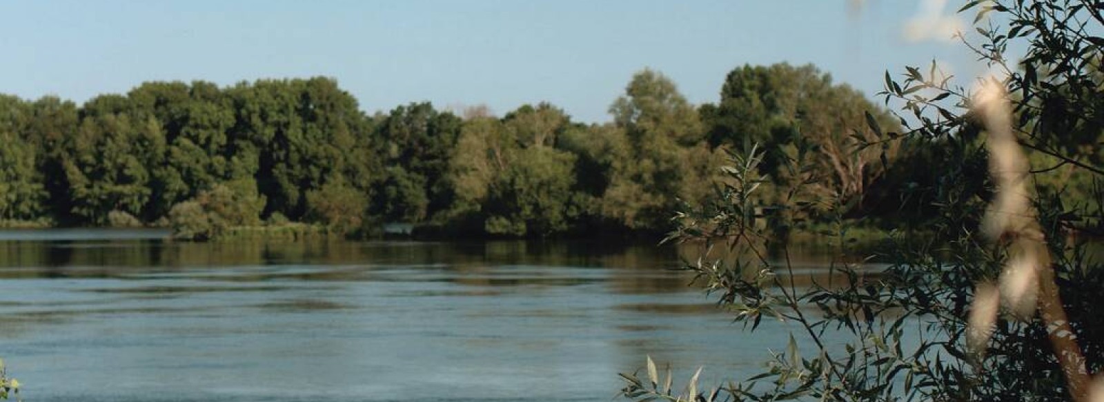 Conference " l'homme et la Loire "