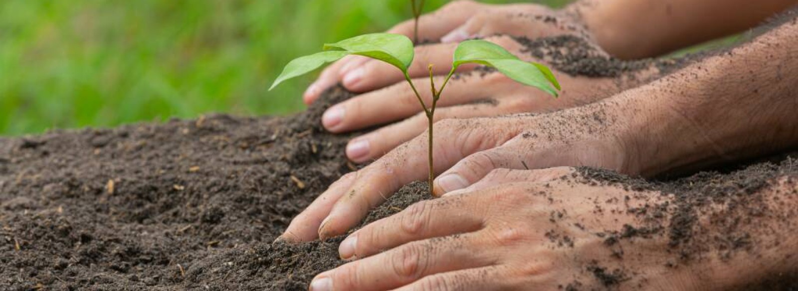 Atelier jardinage a la pause Solid'Erdre