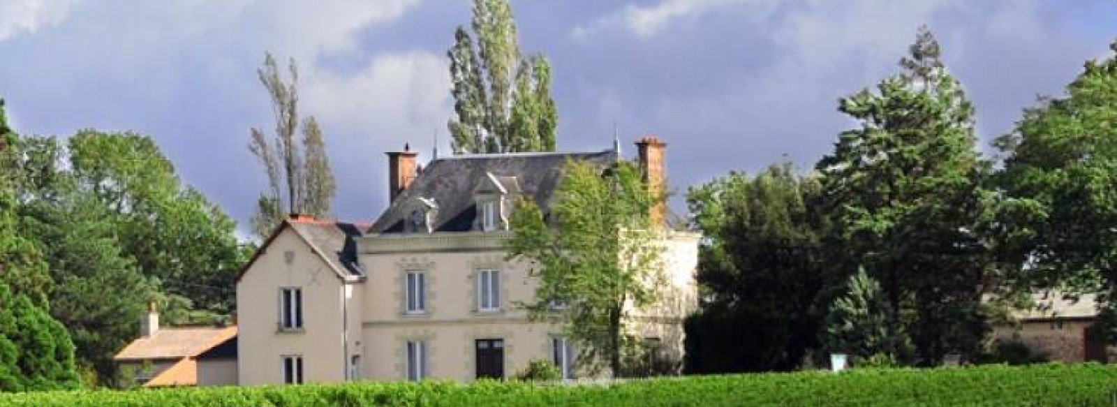 JOURNEE VENDANGES AU CHATEAU DE LA VIAUDIERE