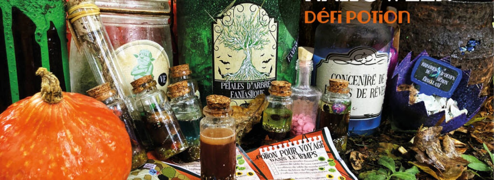 HALLOWEEN : DEFI POTION A CAP LOIRE