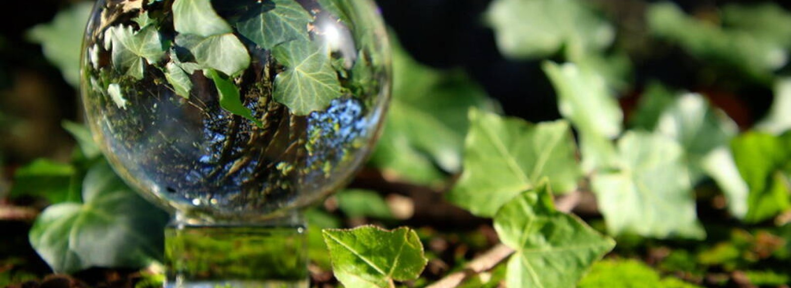 Balade photographique "special lensball" dans le parc de Beaupreau