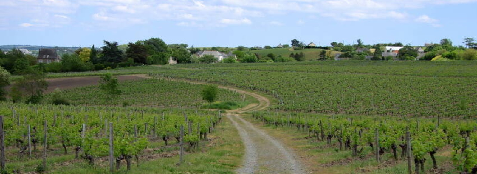 BALADE PHOTOGRAPHIQUE "ENTRE VIGNES ET MINES, SUR LE SITE DES MALECOTS"