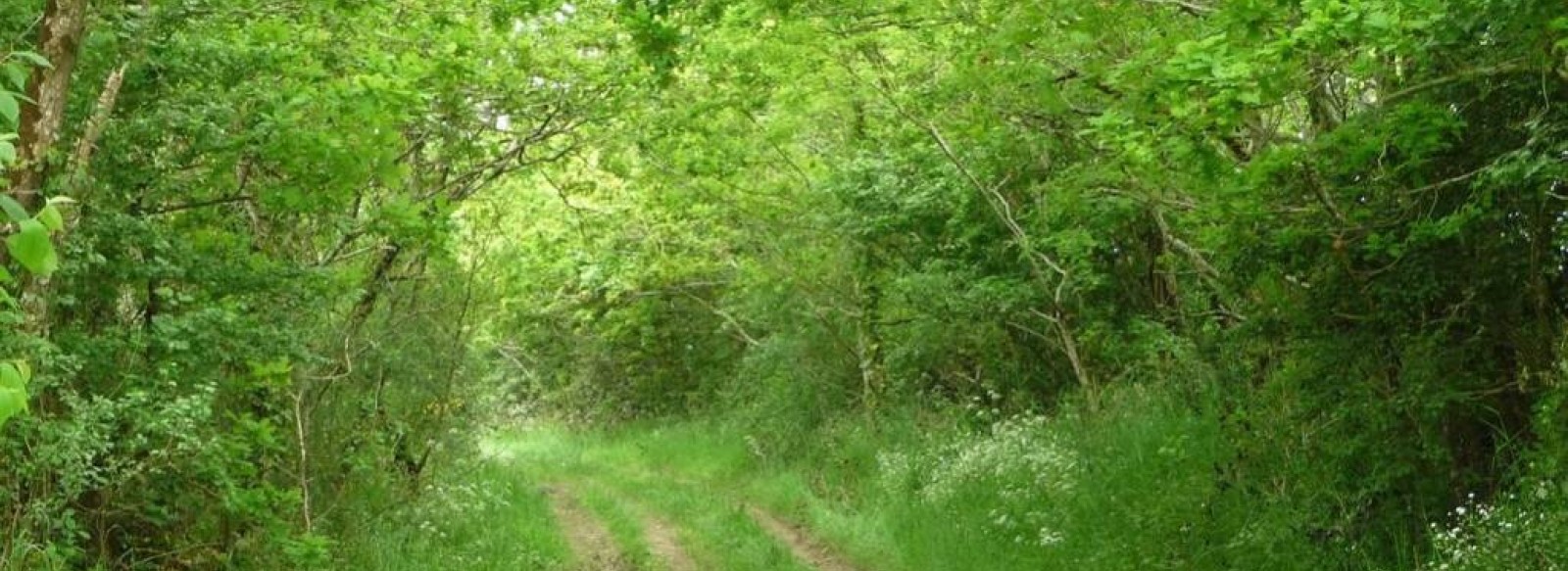 Randonnee des coteaux a la Pommeraye