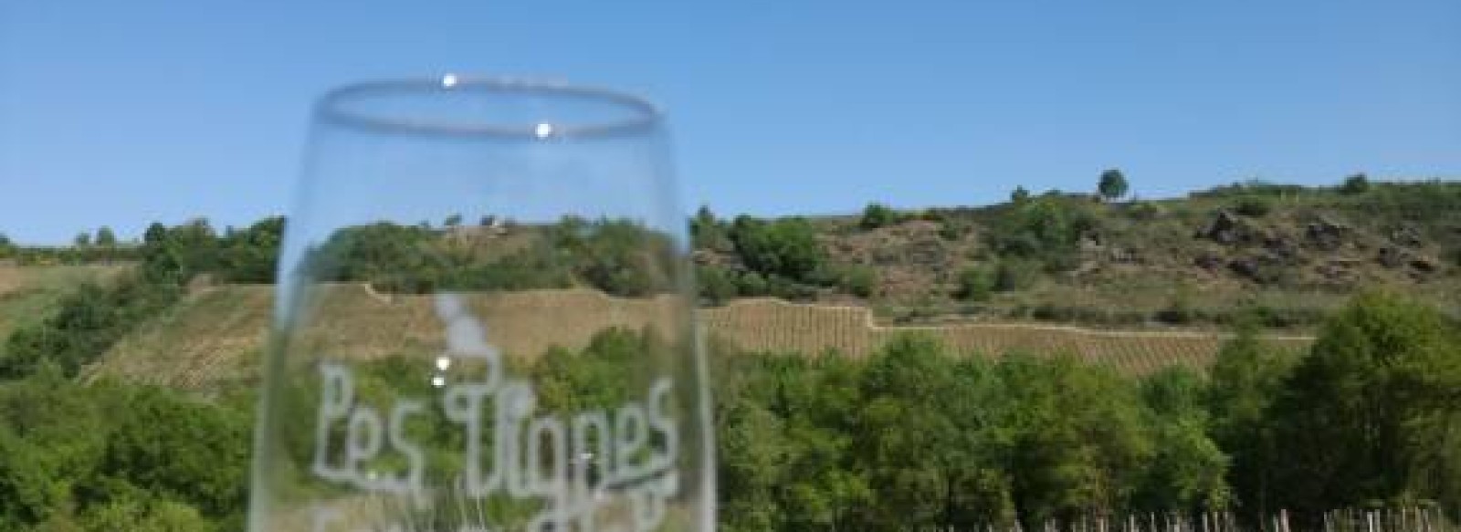 ANJOU'R & NUIT - VOYAGE AU PAYS D'UN PASSEUR DE TERROIR AVEC LES VIGNES SELON VAL