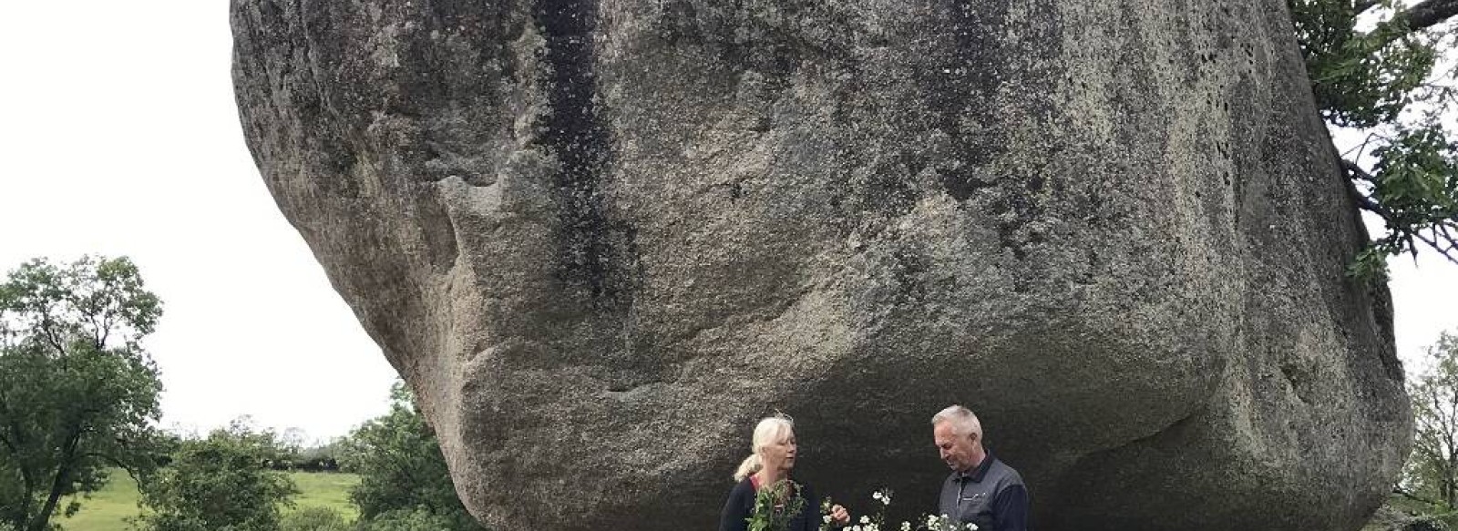 Balade botanique a Torfou