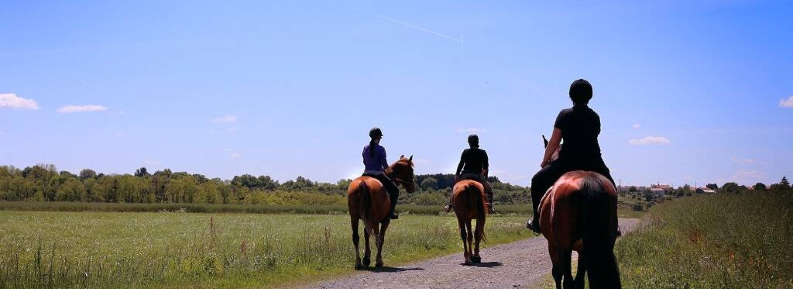 STAGE ADOS DANSE AVEC LES CHEVAUX