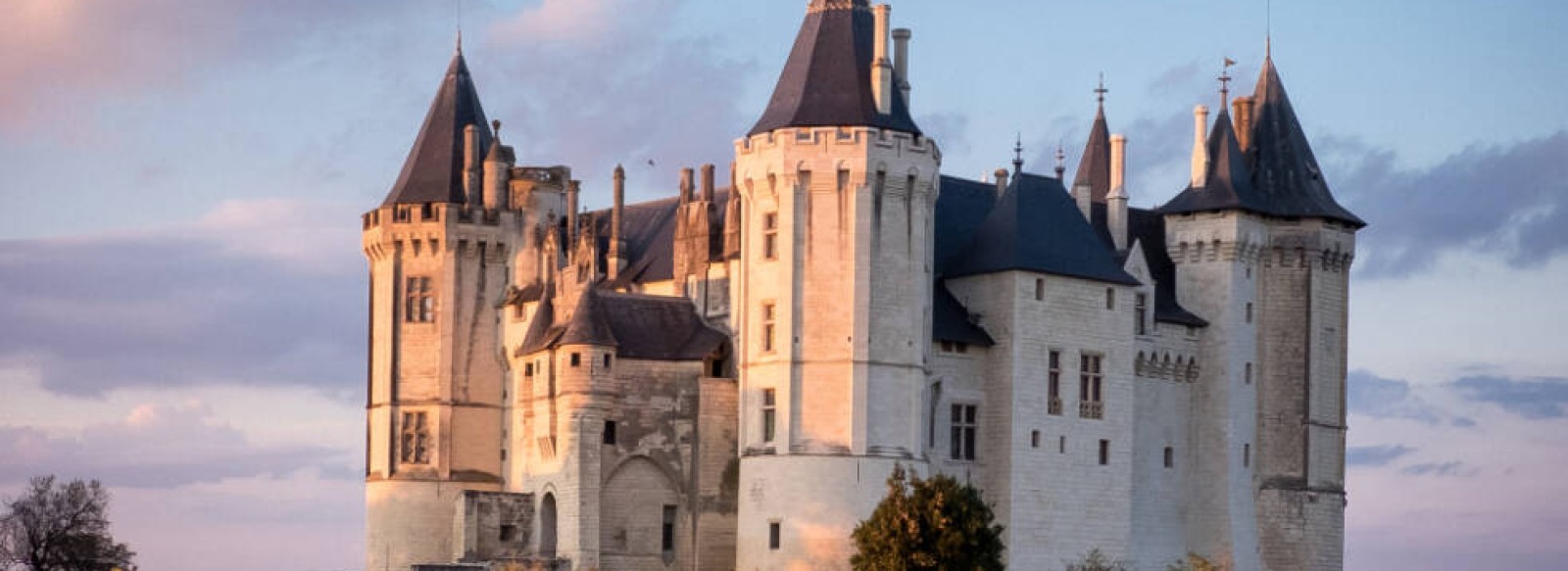 Fete des vendanges au chateau de Saumur