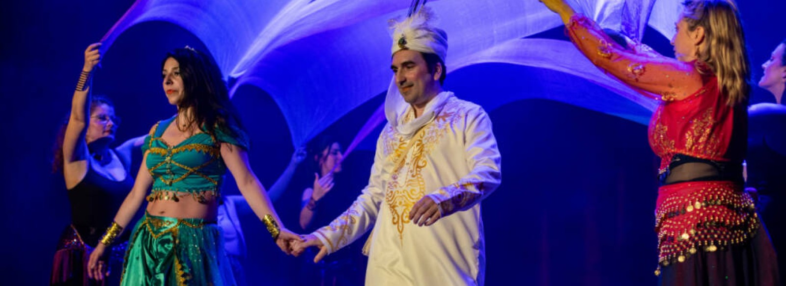 Spectacle "Prince Ali" - Folies Angevines