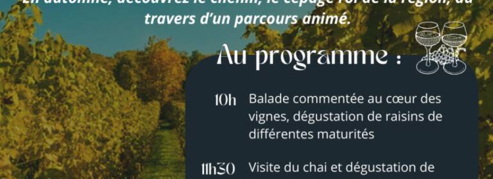 PARCOURS ANIME "SUR LES TRACES DU CHENIN" AU DOMAINE DE PIED FLOND