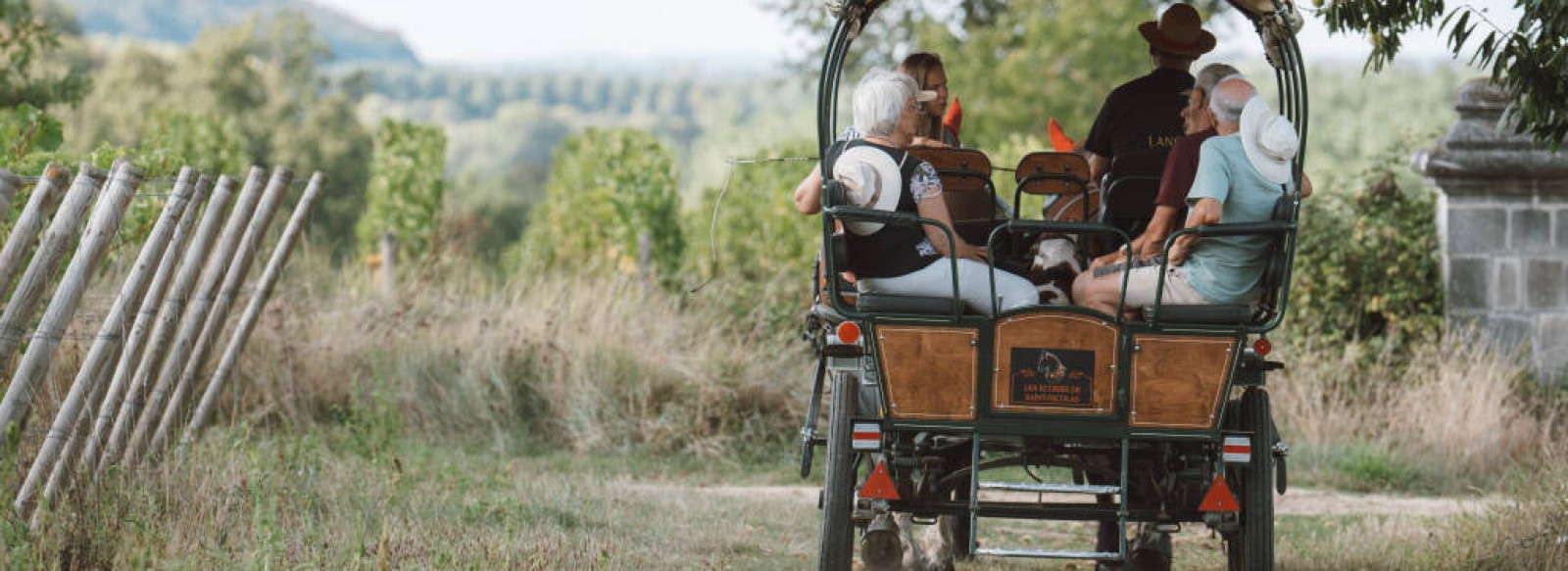 Le vignoble en caleche de la Maison Langlois