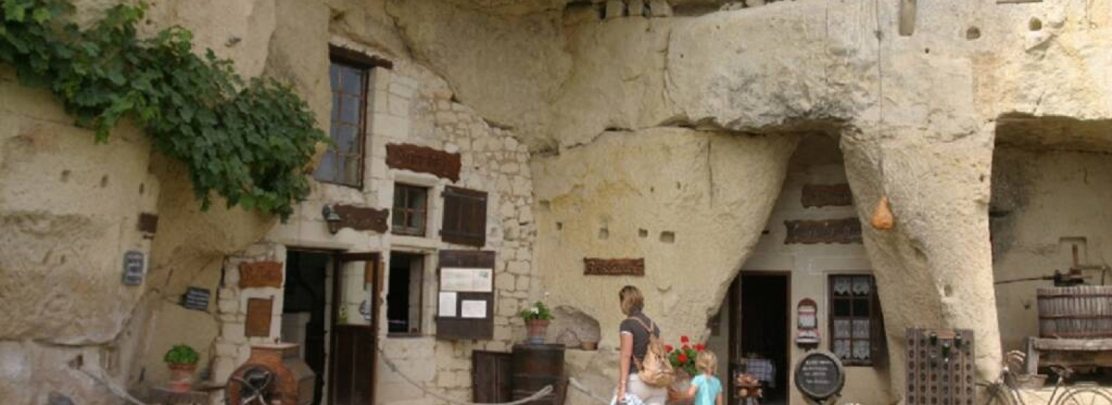 Champignonniere Le Saut aux Loups