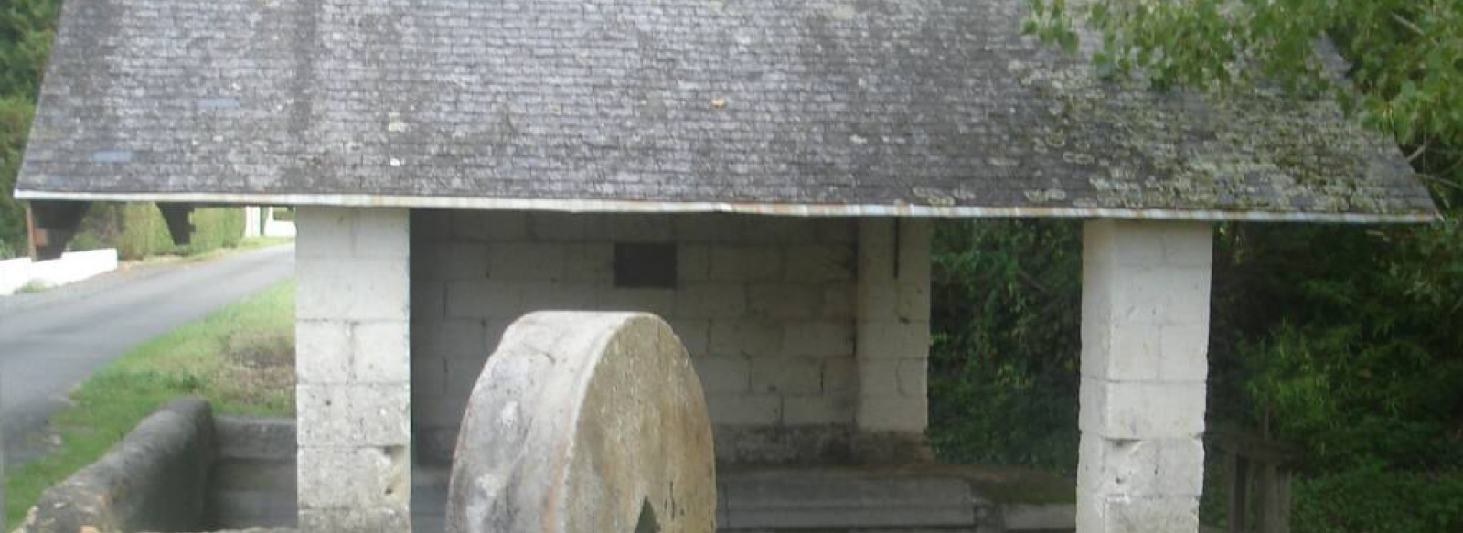 Musee d'histoire et d'archeologie et jardin botanique medieval