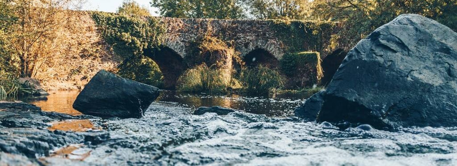 Journees Europeennes du Patrimoine : Parcours Historique de Montrevault