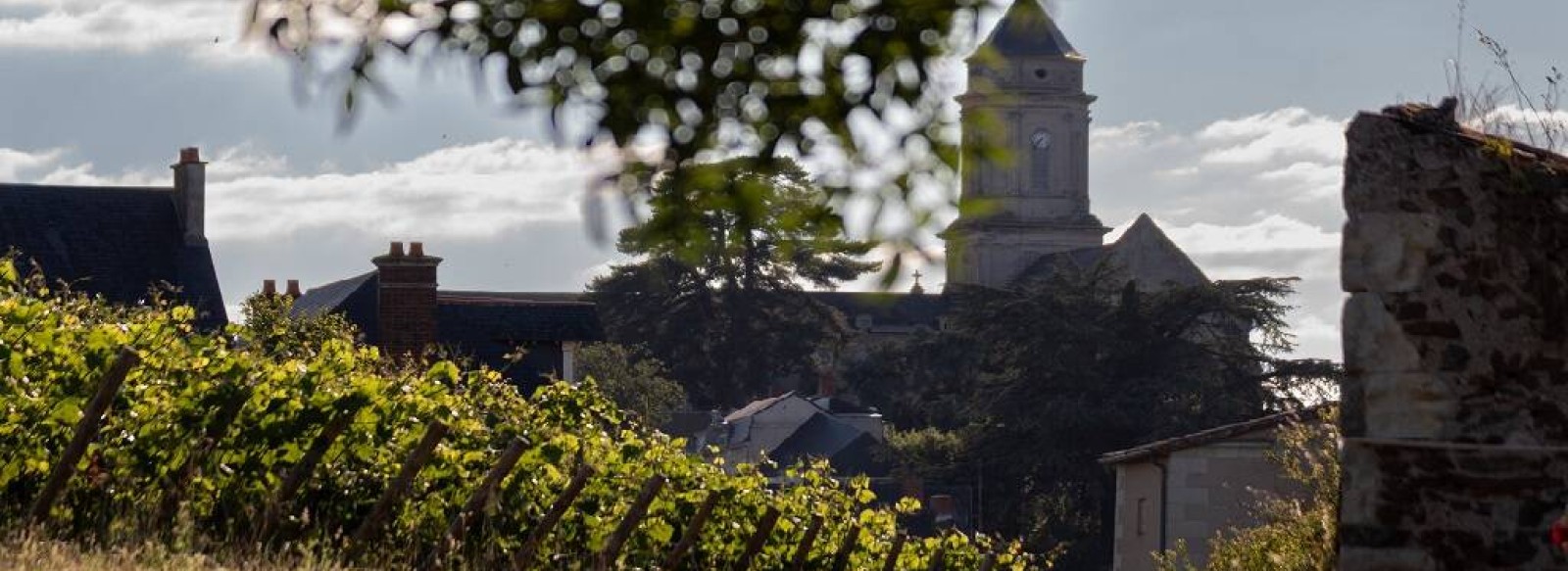 Visite du clos de vignes associatif La Pierre a Fourneau