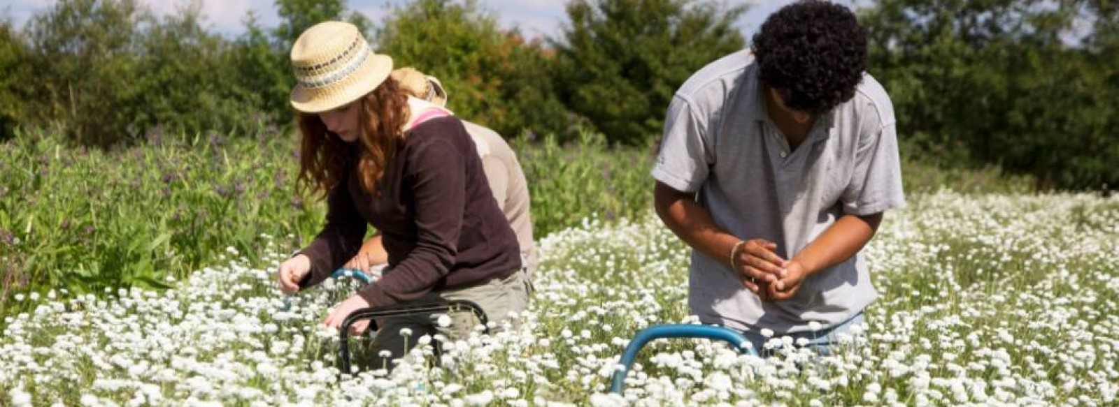 C'est quoi ton entreprise ? Delaubio