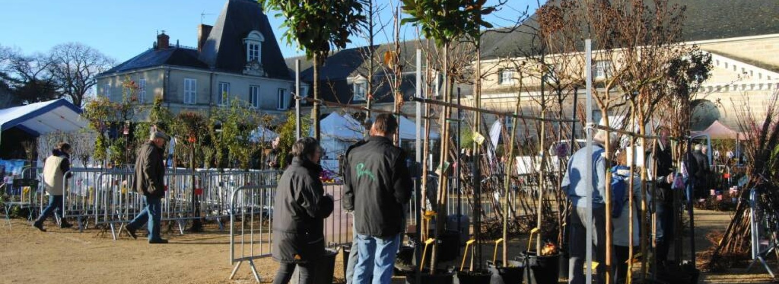 Les Pepifolies, marche aux vegetaux