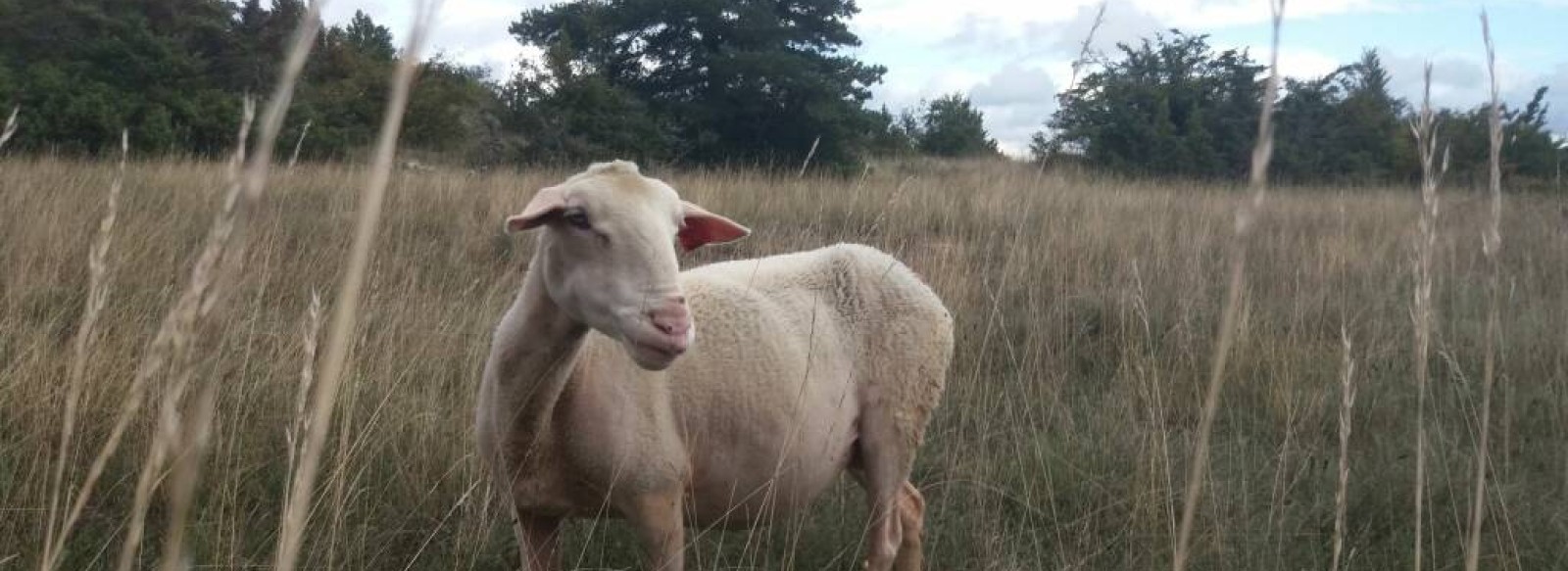 Larzac ! De Philippe Durand / Cie 13:36