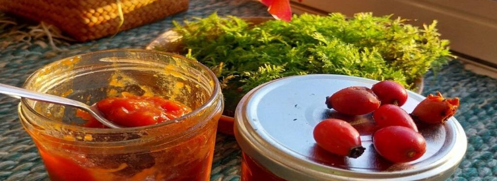 Stage eglantier - Cueillette et confiture de cynorrhodon