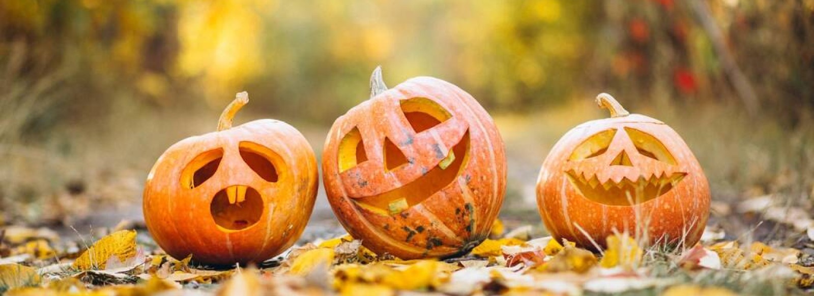 Atelier decoration de citrouilles