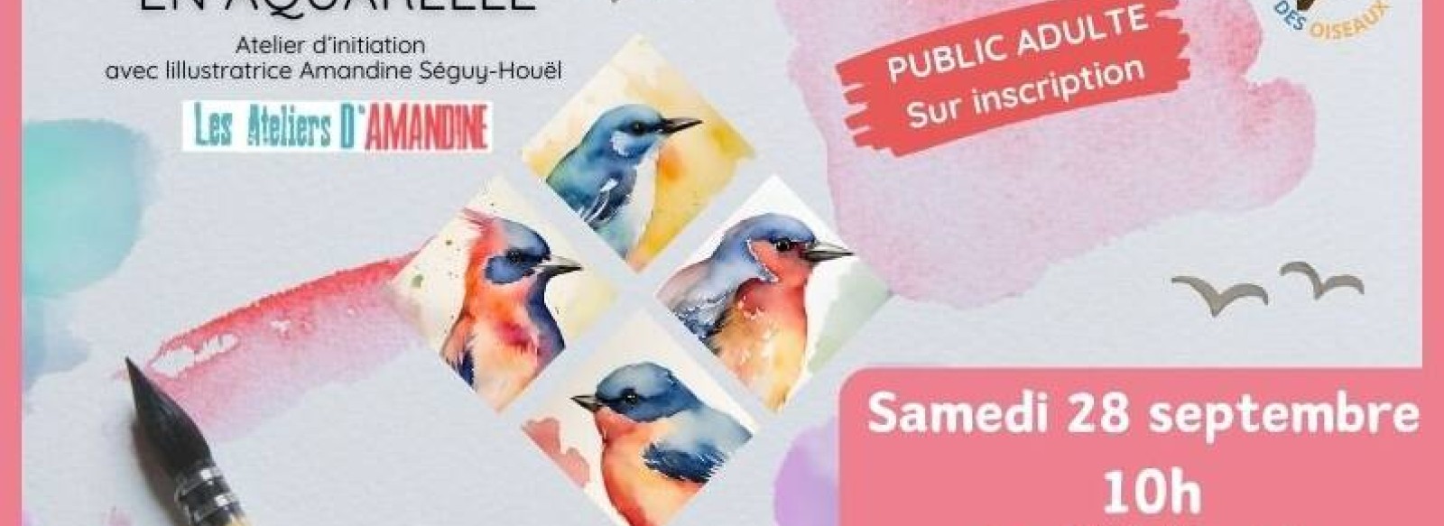 Atelier - Peindre des oiseaux en aquarelle