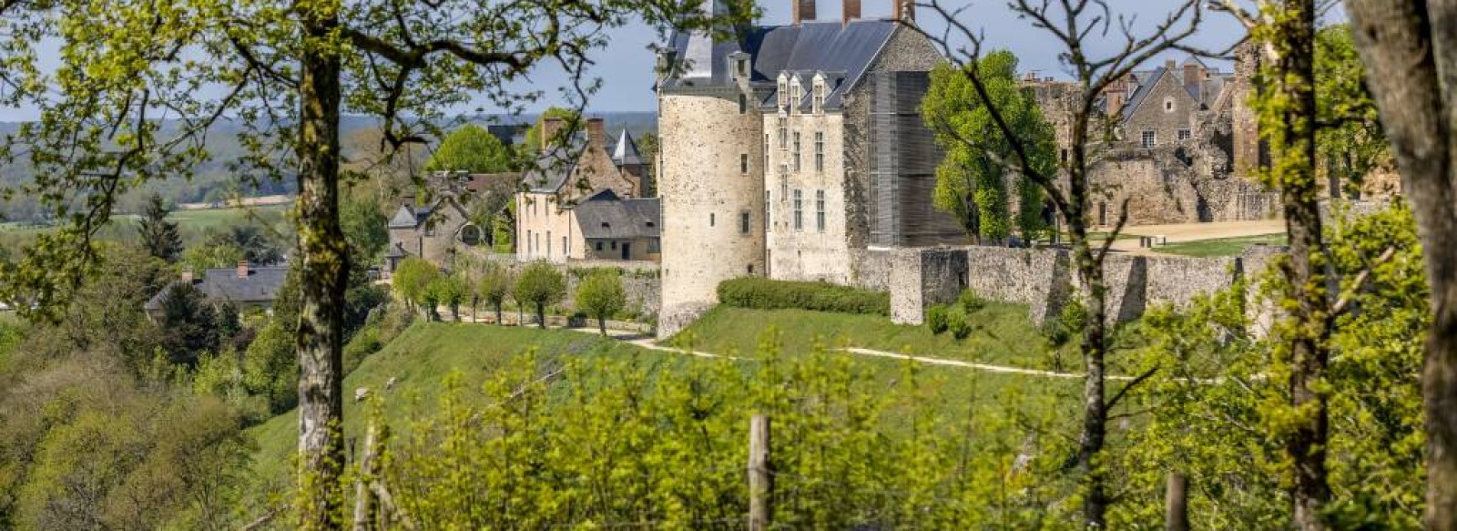 A la decouverte des arbres autour de Sainte Suzanne