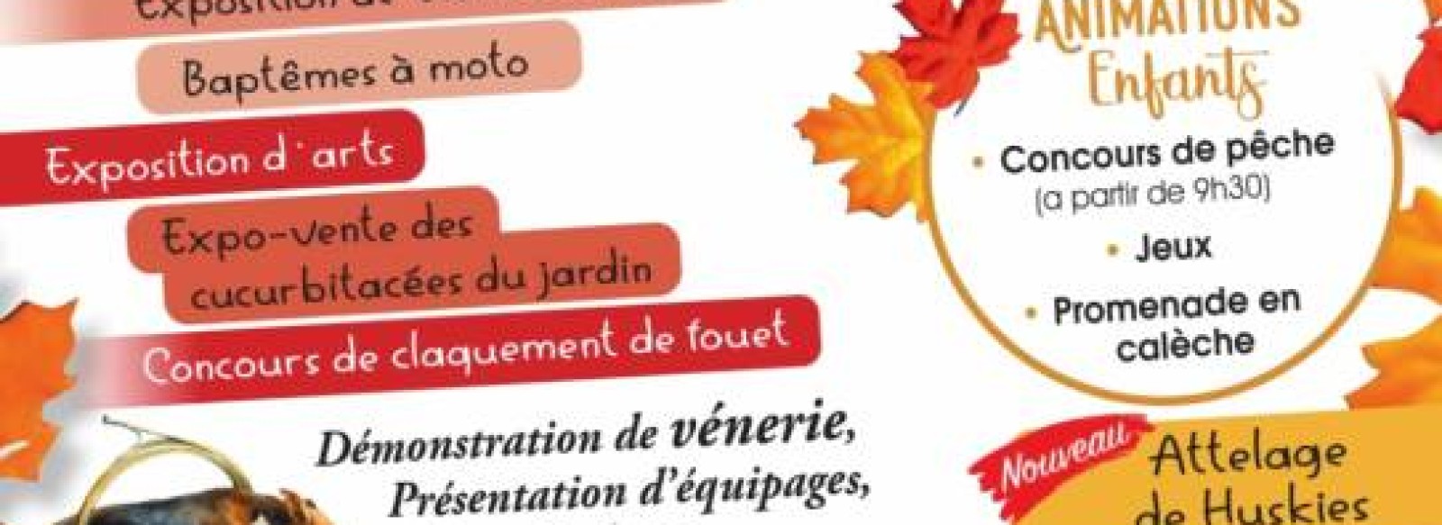 L'automne en fete !