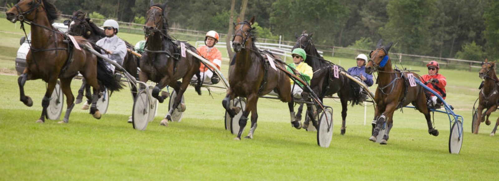 Courses hippiques d'Ecommoy