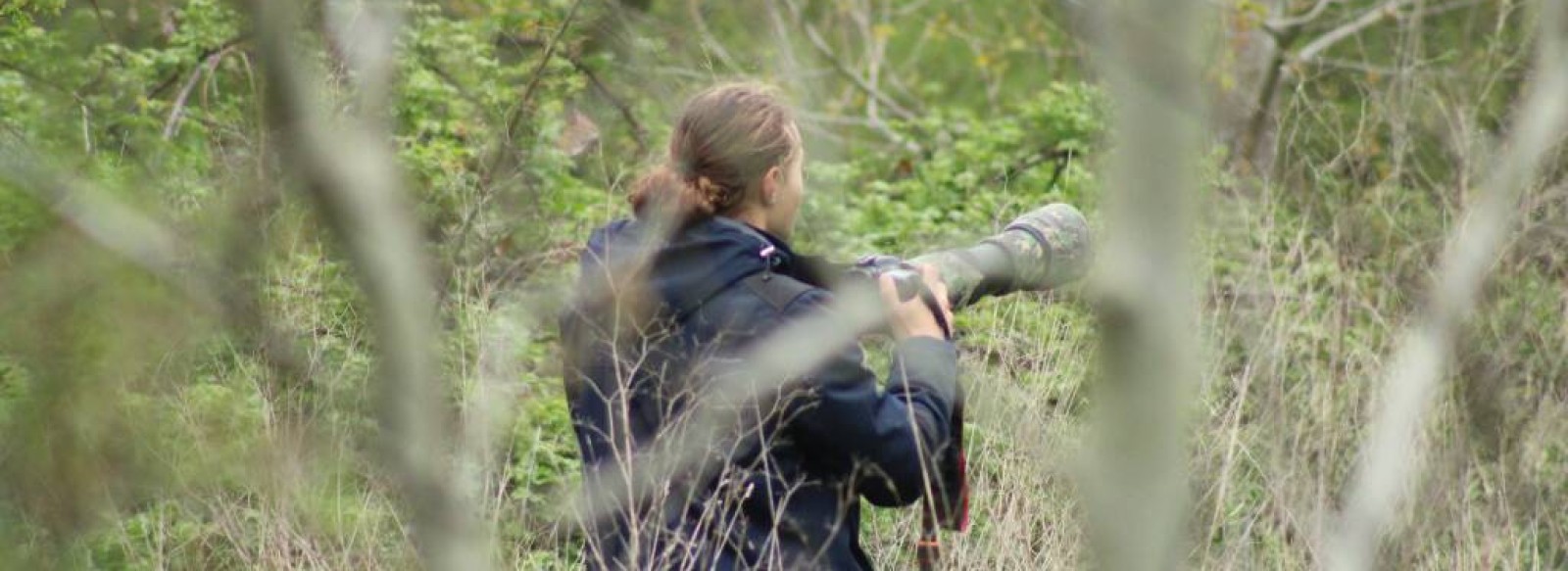 JEP 2024  Balade autour des oiseaux migrateurs