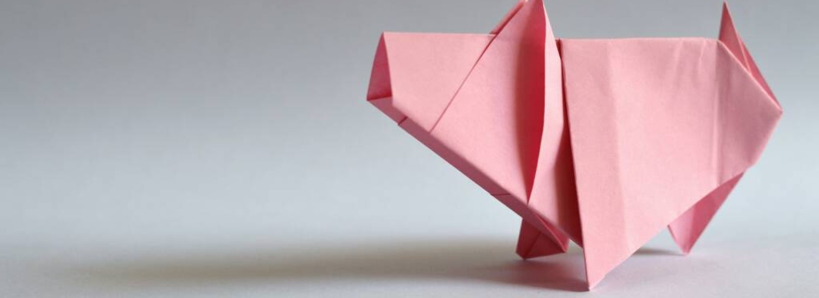 Origami, Kapla, Tangram : Les animaux s'emparent du foyer