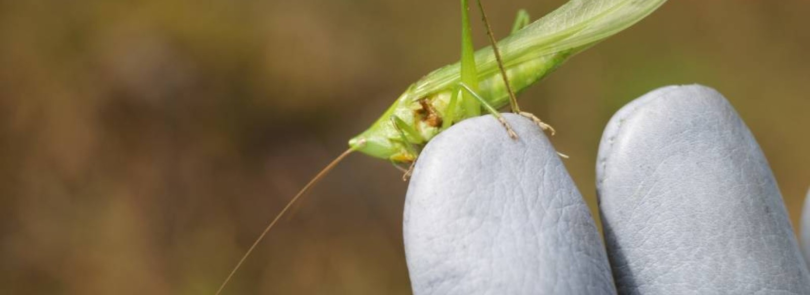 Animation nature, La reserve se prepare a l'hiver