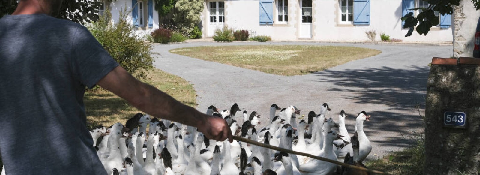 GO AUX RENDEZ VOUS - LA FERME DU PAS DE L'ILE